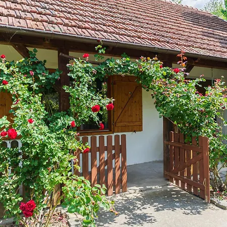 Apartamento With Private Forest&panorama *