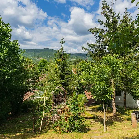 With Private Forest & Panorama * Visegrád