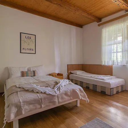 With Private Forest & Panorama Appartement Visegrád