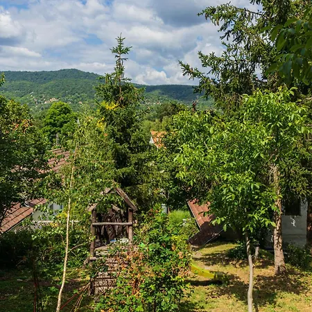 With Private Forest & Panorama Visegrád