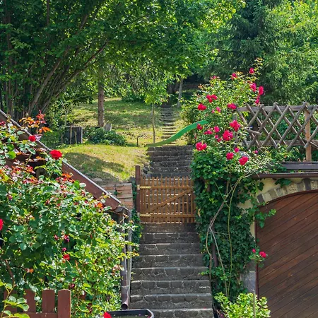 With Private Forest & Panorama Appartement