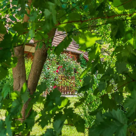 With Private Forest & Panorama