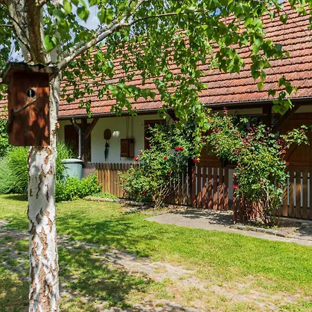 Appartement With Private Forest & Panorama Visegrád